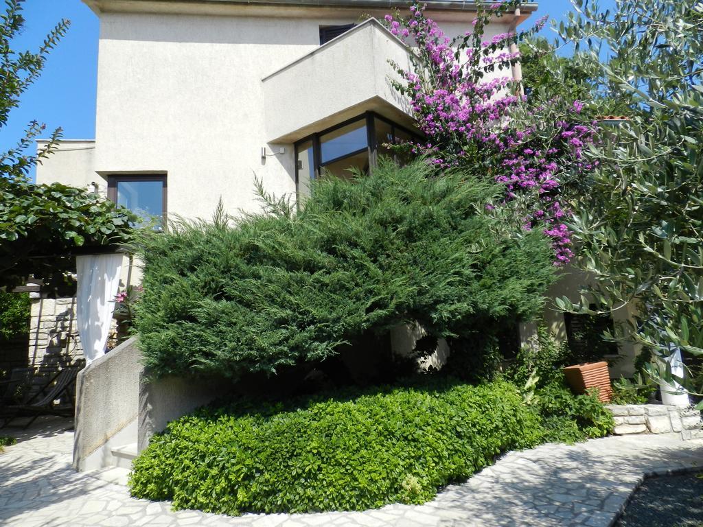 Apartment Lodra Pula